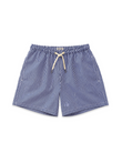 Blue Stripe swim shorts