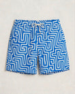 Blue Maze swim shorts