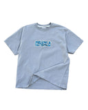 Grey Washed Embroidered Scenic Tee
